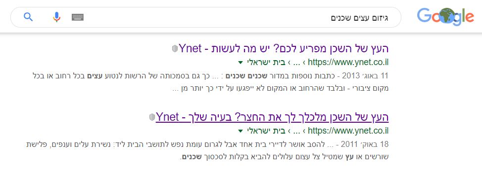 גיזום עצים בין שכנים - מידע סותר באתר ynet